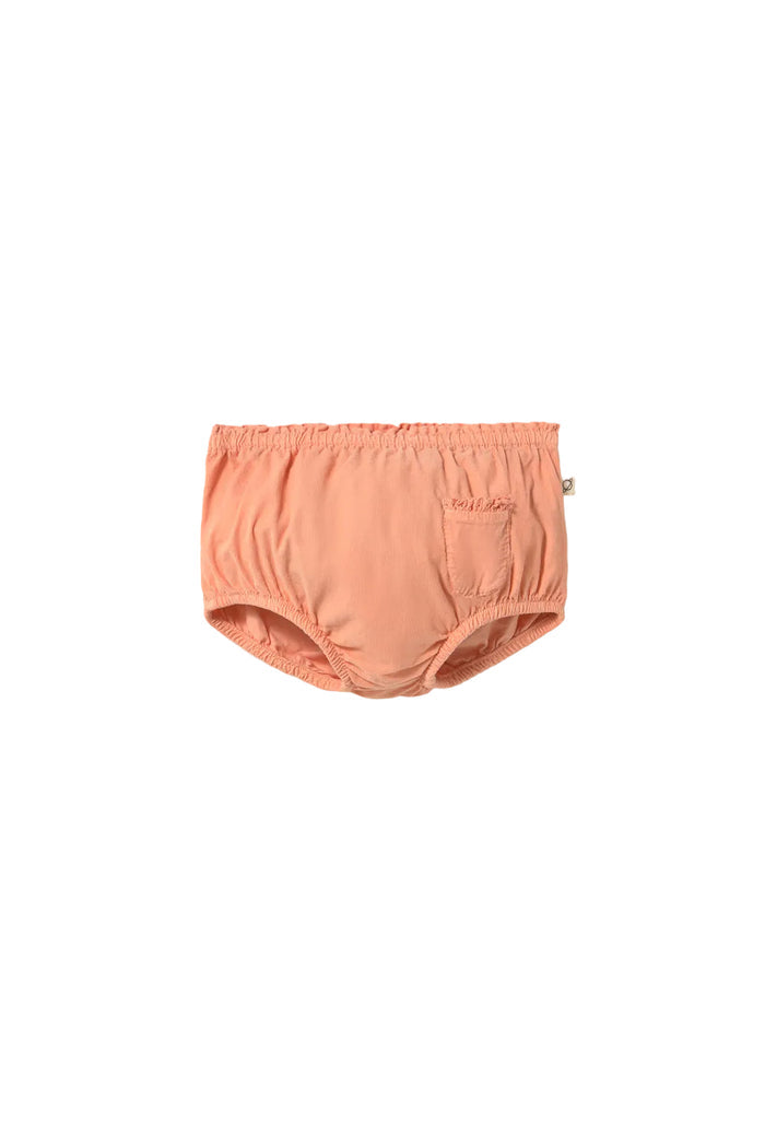 bloomer corduroy printed button - petal
