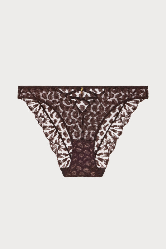 Crazy In Love Brown Embroidery Italian Brief