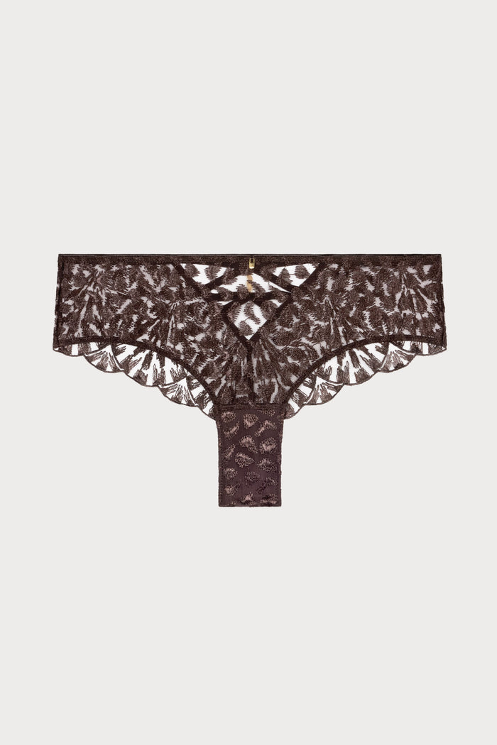 Crazy In Love Brown Embroidery Shorty