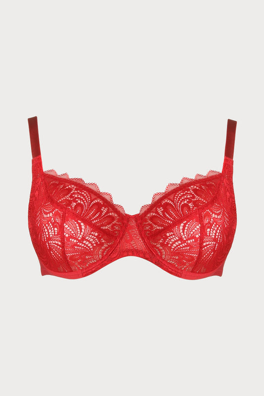 Hey Jude! Underwired Bra in Red